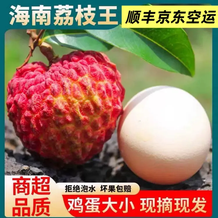 海南荔枝王新鲜当季现摘现发顺丰空运火山岩口大果