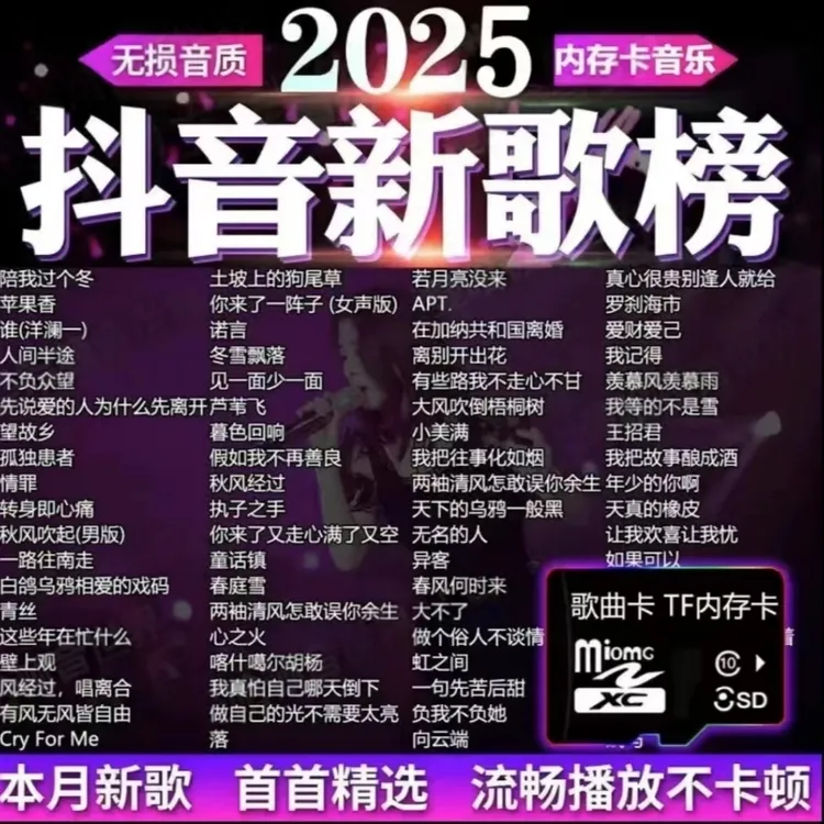 2025车载音乐内存卡高品质超火抖音新歌无损劲爆流行歌曲SD/TF卡