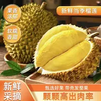 【优质果品】新鲜泰国金枕榴莲皮薄肉厚核小香甜软糯[夏洛3]g金枕泰国东部