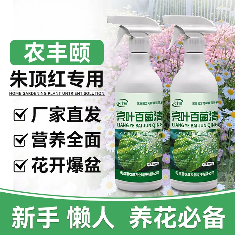 农丰颐亮叶百菌清花卉绿植朱顶红花去污亮叶通用型免稀释直喷剂