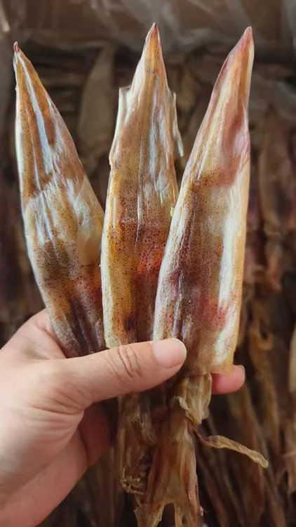 D海鲜干货特管（索管）煮面很香甜