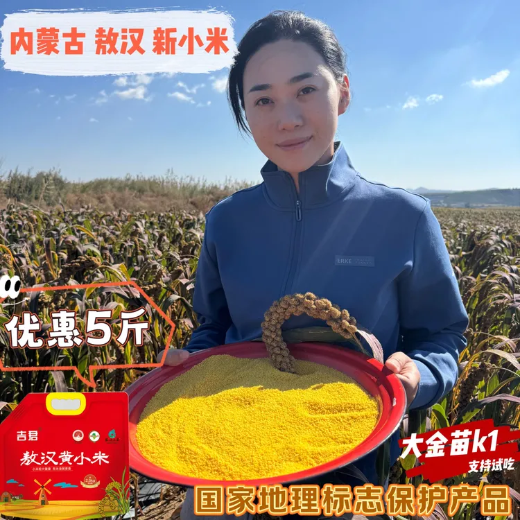 [小米天花板大金苗K1]内蒙古小米新小米5斤