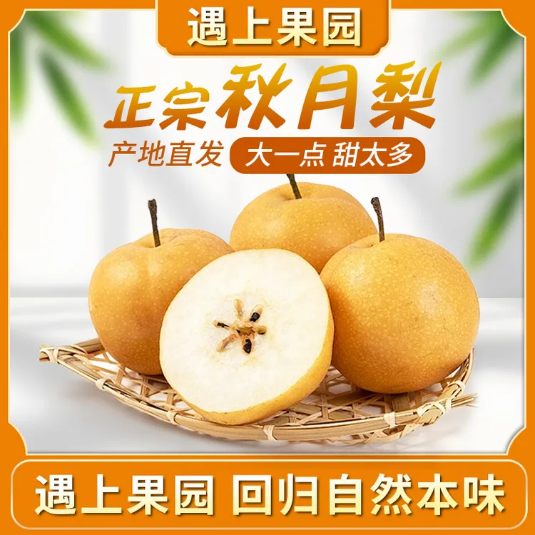 遇上果园【A级果】甄选秋月梨新鲜水果整箱坏果包赔