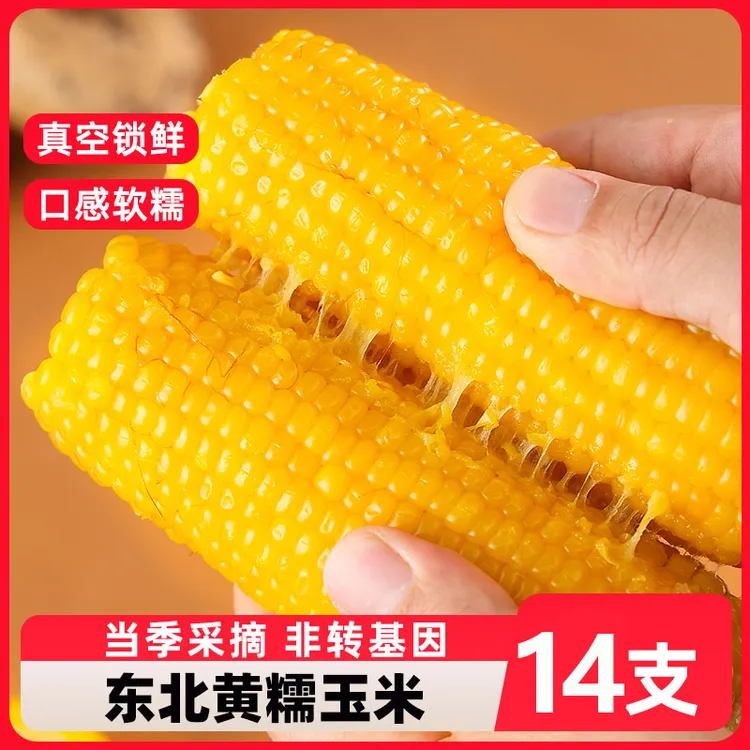 【可试吃2根】14大根正宗东北黄糯玉米整箱14根真空包装黏甜糯玉米