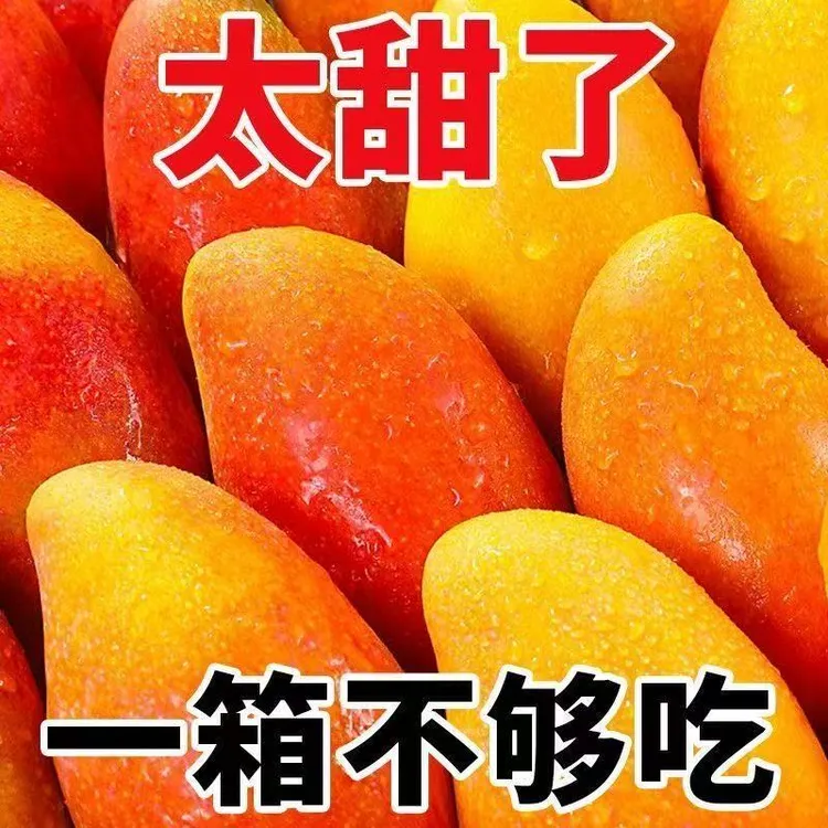 【放软吃】新鲜现摘贵妃芒果当季新鲜水果整箱约5/10斤