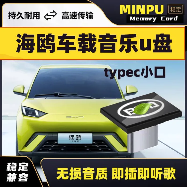 比亚迪海鸥车载u盘typec小口无损歌曲汽车车用海鸥专用u盘带音乐