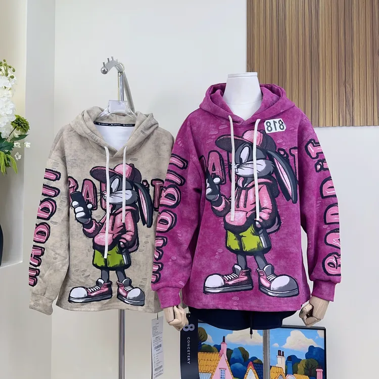 （818/819）y2025新款早秋印花连帽卫衣女长袖ins韩版刺绣宽松显