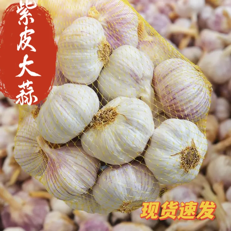 净重3斤/5斤6cm及以上正宗特大果紫皮多瓣大蒜香辣饱满可用于调味