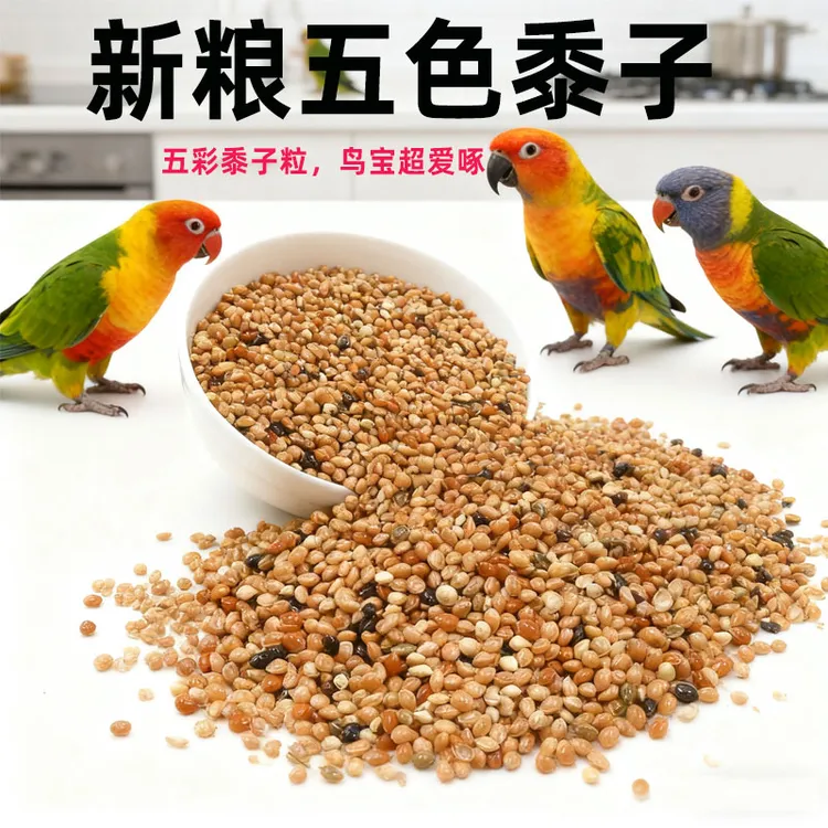 鹦鹉鸟粮饲料虎皮玄凤牡丹鸟食带壳黄谷子五色黍子小米混合专用粮