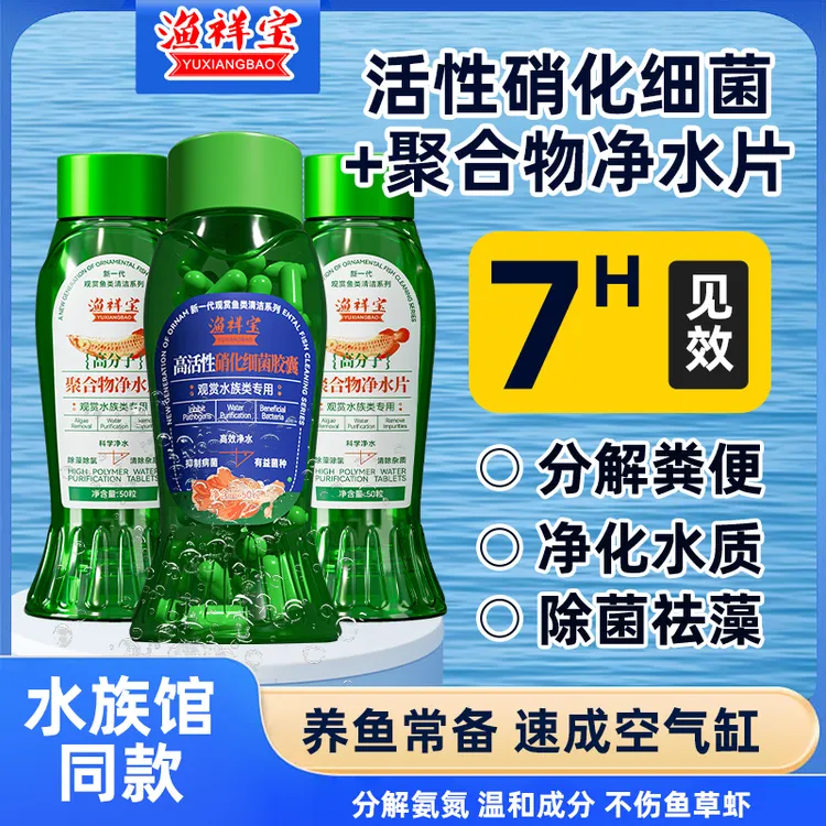 【硝化细菌胶囊+净水片】养鱼达人同款除藻除氯稳定水体不换水ZB商品图