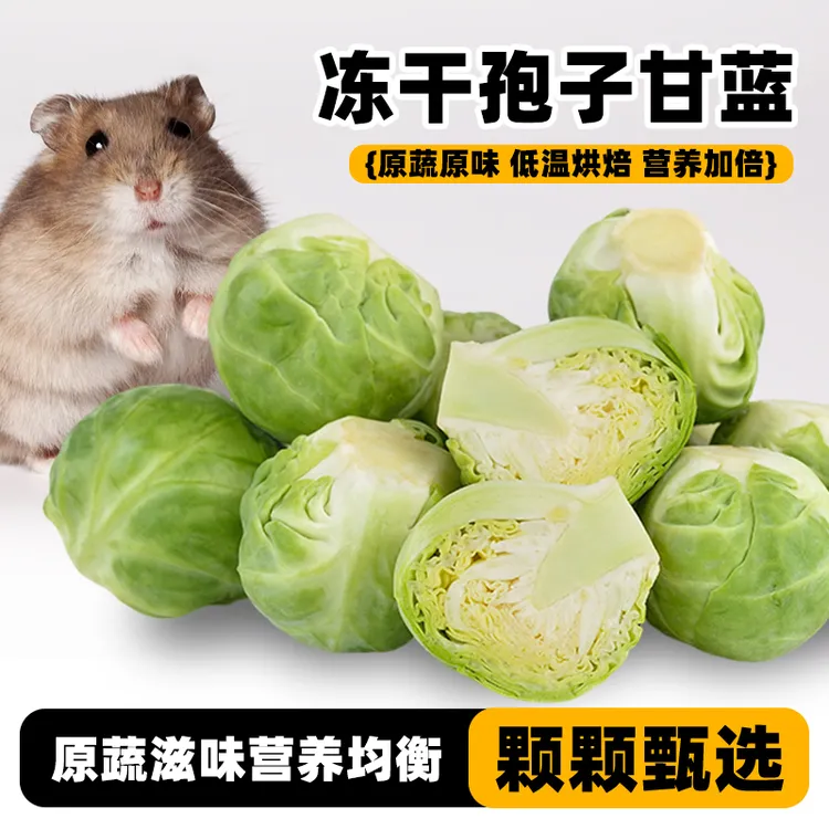 深深宠仓鼠零食冻干孢子甘蓝蔬菜金丝熊营养粮食饲料磨牙用品大全