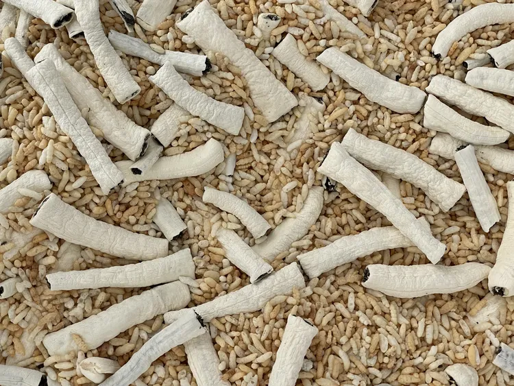 江西特产农家纯手工制作麦芽糖米糖长条灌芯米糖