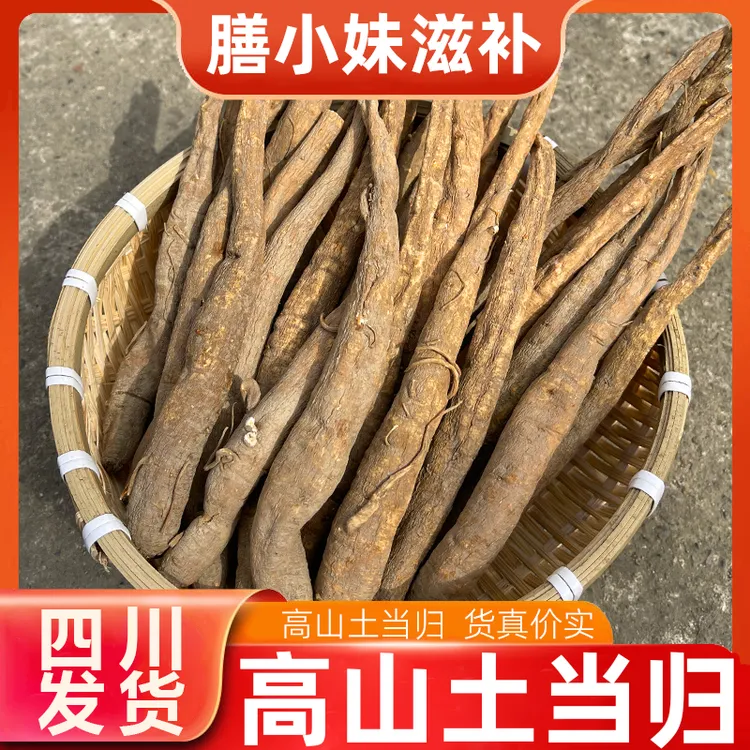 【正品】正宗四川阿坝土当归甜当归田当归小当归藏当归炖汤煲汤