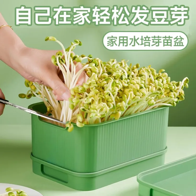 新款家用发豆芽工具大容量家用发芽盆生绿豆芽方法芽花生芽专用盆