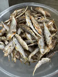 金寨美羊羊家庭农场土特产小干鱼