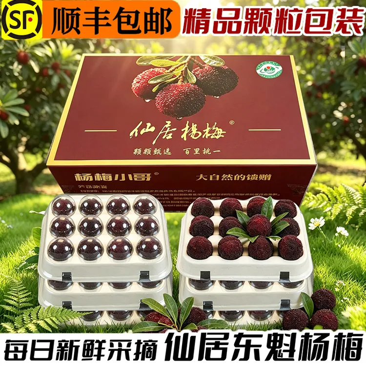 现货现摘】正宗仙居东魁杨梅新鲜48颗60颗水果新鲜顺丰包邮礼盒装商品图
