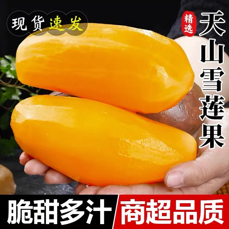 云南天山雪莲果新鲜应季黄心水果清甜脆爽多汁产地直发5-9斤装