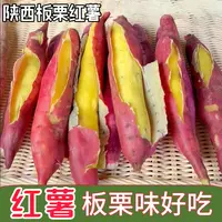 陕西板栗红薯新鲜现挖番薯粉面甜无筋无丝粗粮地瓜临潼小香薯