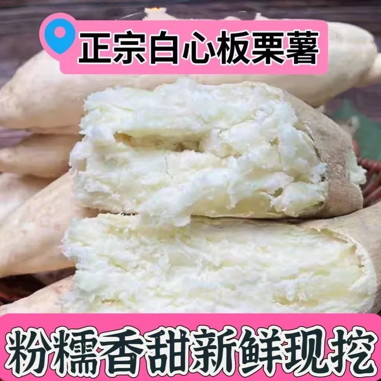 新鲜现挖白心牛奶薯沙地干面红薯10广东新鲜板栗红薯