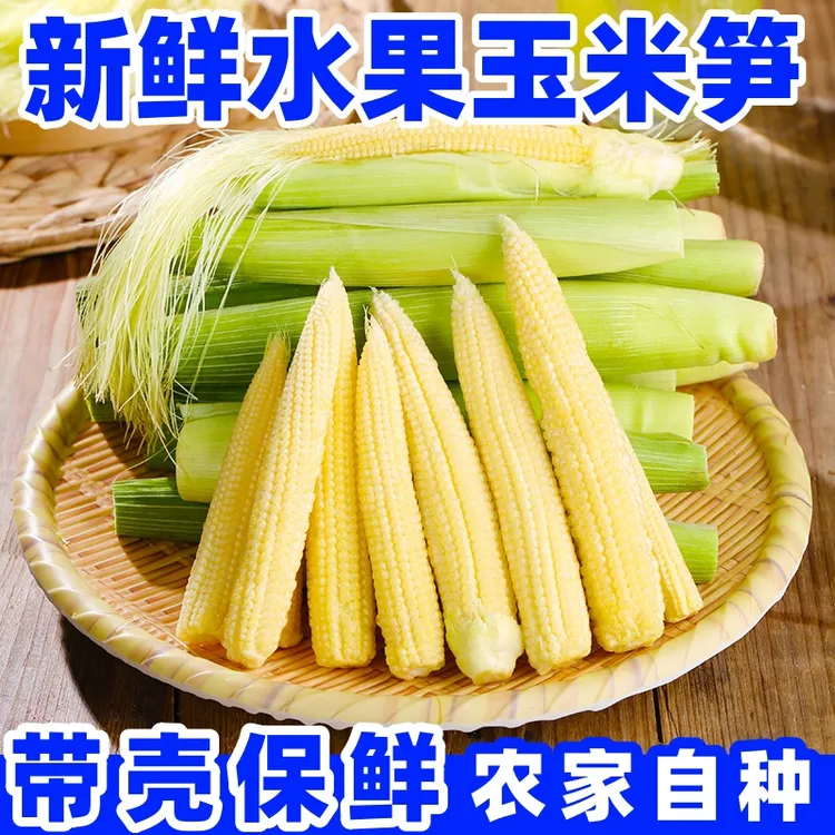 福丰新鲜带皮迷你玉米笋甜嫩金黄小玉米火锅撒拉饭店烧烤甜玉米芯