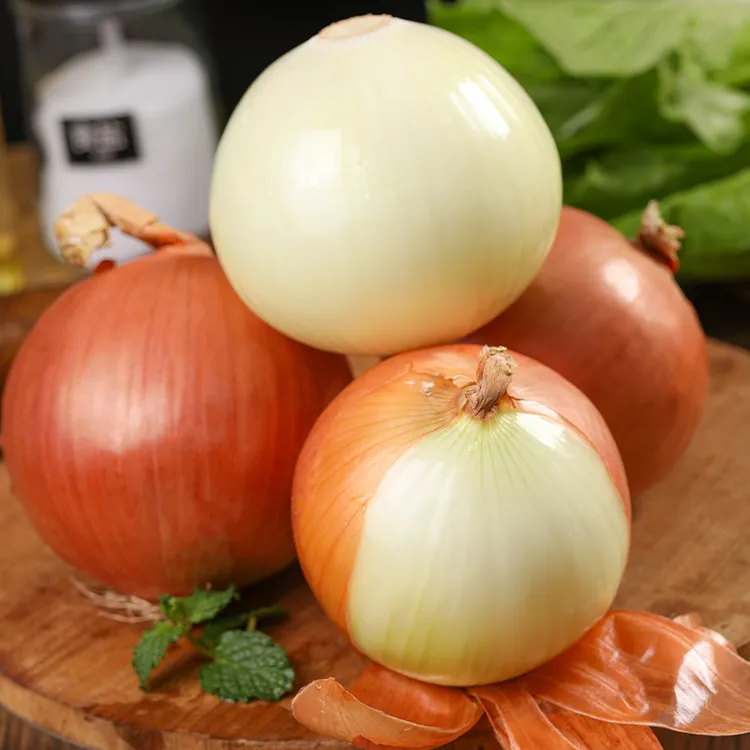 【遇见美物】甘肃黄皮洋葱 3斤3-6个/5斤5-10个