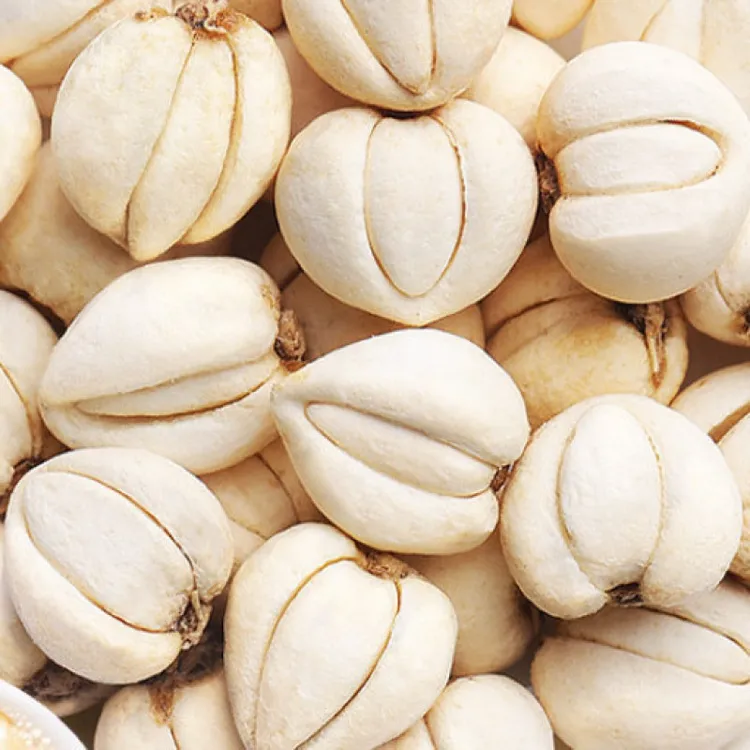 川贝母粒川贝母松贝母