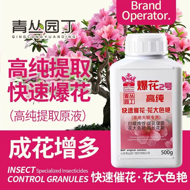 正品青丛园丁爆花2号开花促进花芽分化快速开花花大色艳开花粉