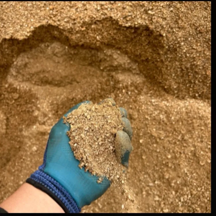 风化沙生根快透气性强不积水含有矿物质磷肥多肉铺面花