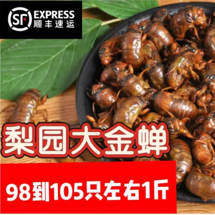 直播现捉2025新鲜头茬特产爬叉蝉知了龟50只/200只/400顺丰包邮