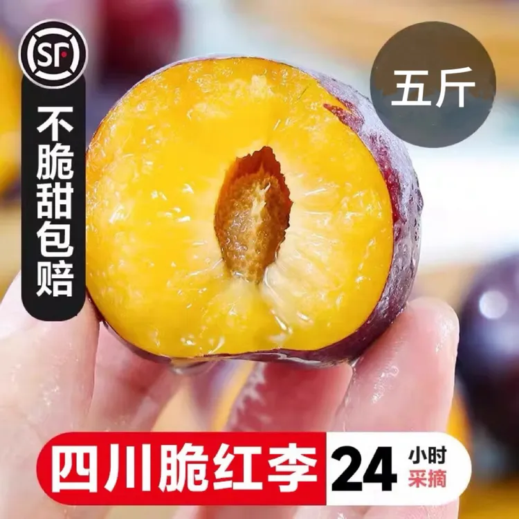 ［顺丰包邮］四川高山脆红李新鲜现摘当季水果脆甜多汁脱骨爽口