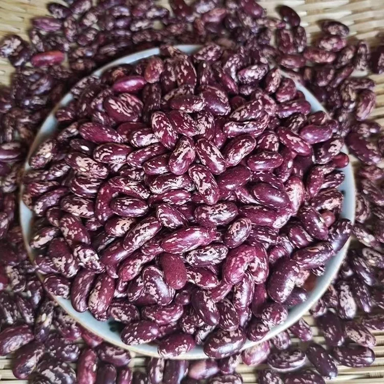 （娟姐专属）25年东北紫花芸豆大饭豆五谷杂粮红花芸豆大碴粥