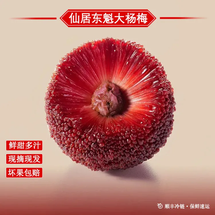 仙居正宗【东魁杨梅】单果20-25g新鲜采摘9A大果高山鲜果冷链颗粒装