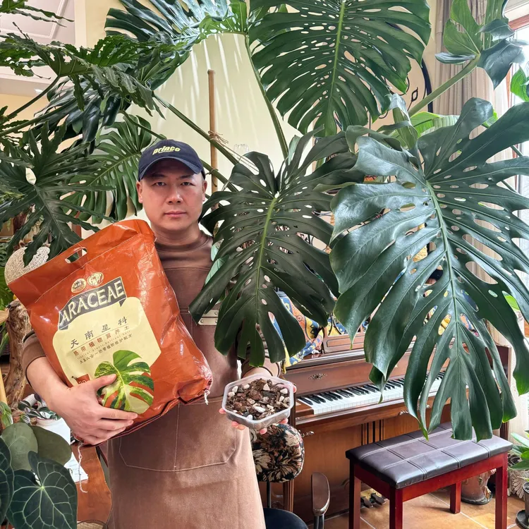 【明哥专属】天南星科专用土八合一热植土龟背竹蔓绿绒海芋花烛配土