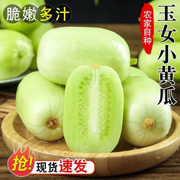 山东寿光玉女黄瓜生吃小黄瓜拇指黄瓜清脆爽口孕妇蔬菜水果小黄瓜