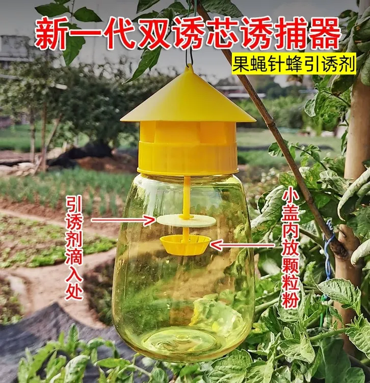 果蝇诱捕器果蝇性引诱剂诱捕剂第三代药水果蝇水实蝇针锋诱捕见效