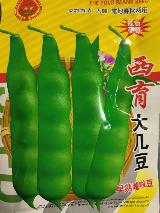 东北嘎啦豆几豆角种子