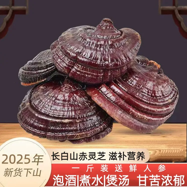 【福利价】正品长白山整支赤灵芝紫精选干货泡酒泡茶煲汤好搭档特产