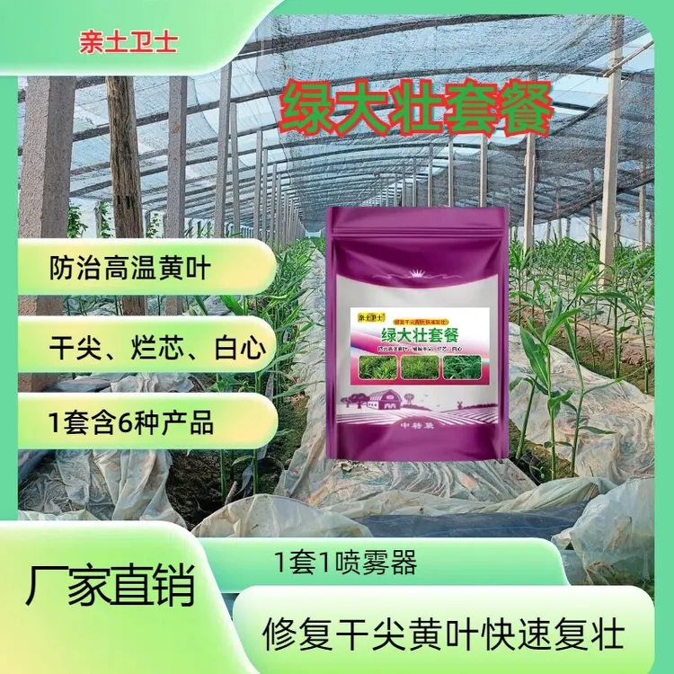 绿大壮套餐 大姜干尖黄叶烂心白心专用叶面肥套餐
