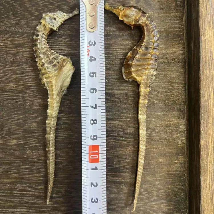 【足3克】大海干货本港清水泡酒滋补煲汤秋季助于【儿童成长】高汤