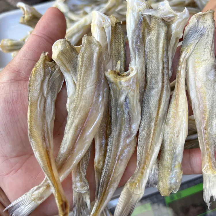 北海沙田纯手工淡盐生晒小沙丁鱼小鱼干爆炒煎炸