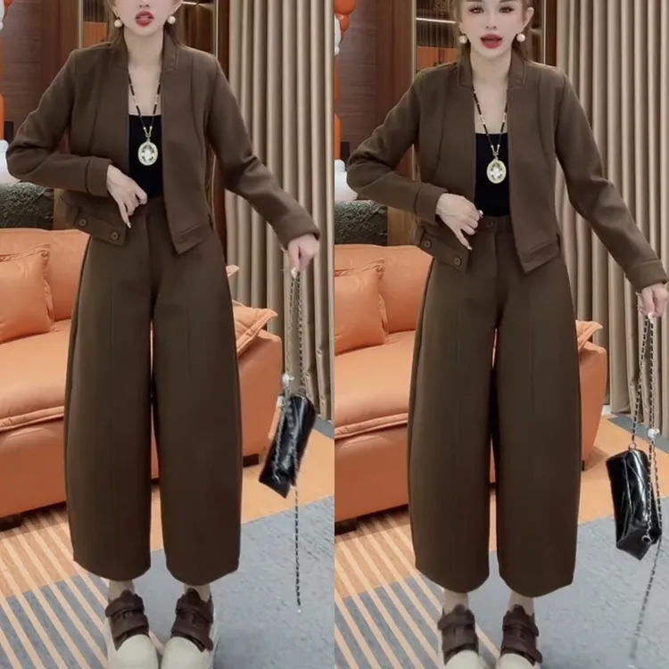 时尚小众2025套装两件套高级洋气气质显瘦冬季休闲外套香蕉裤套装