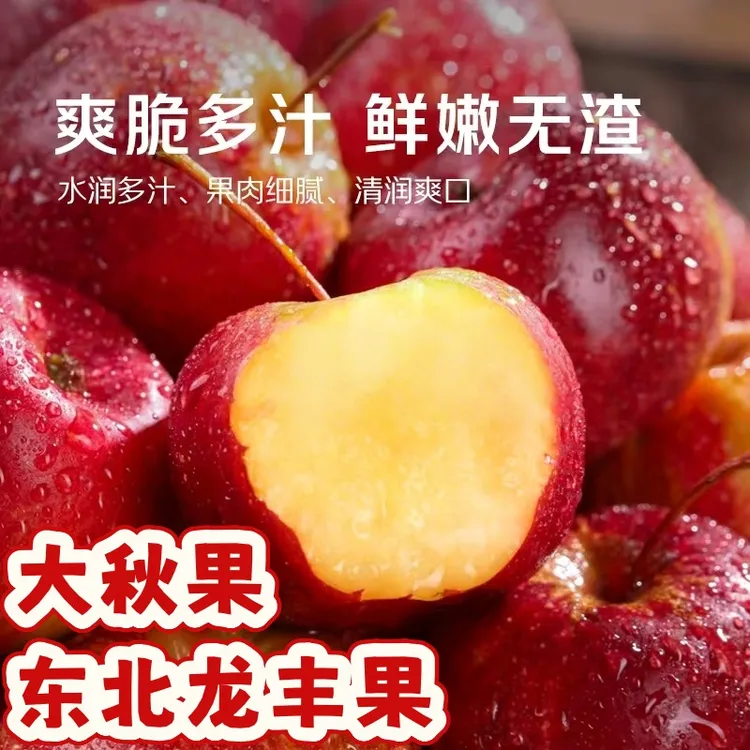 【老味道】东北龙丰果大秋果脆爽可口非海棠果鸡心果小沙果新鲜水果