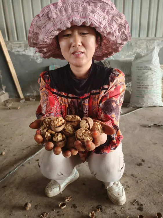 新疆和田 185纸皮核桃 皮薄肉厚 包邮