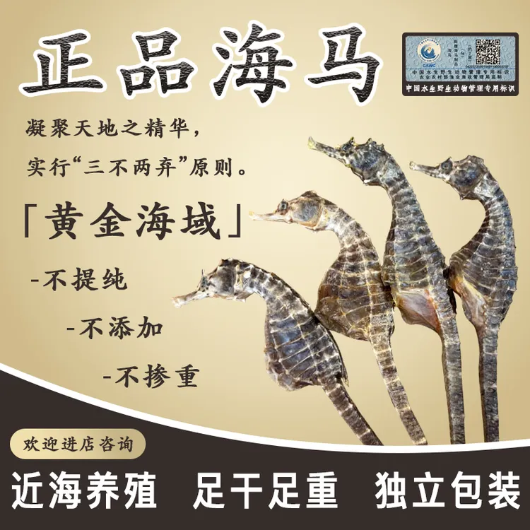 正品海马【优质产地直供】生晒足干公母搭配泡酒煲汤打粉均可正宗