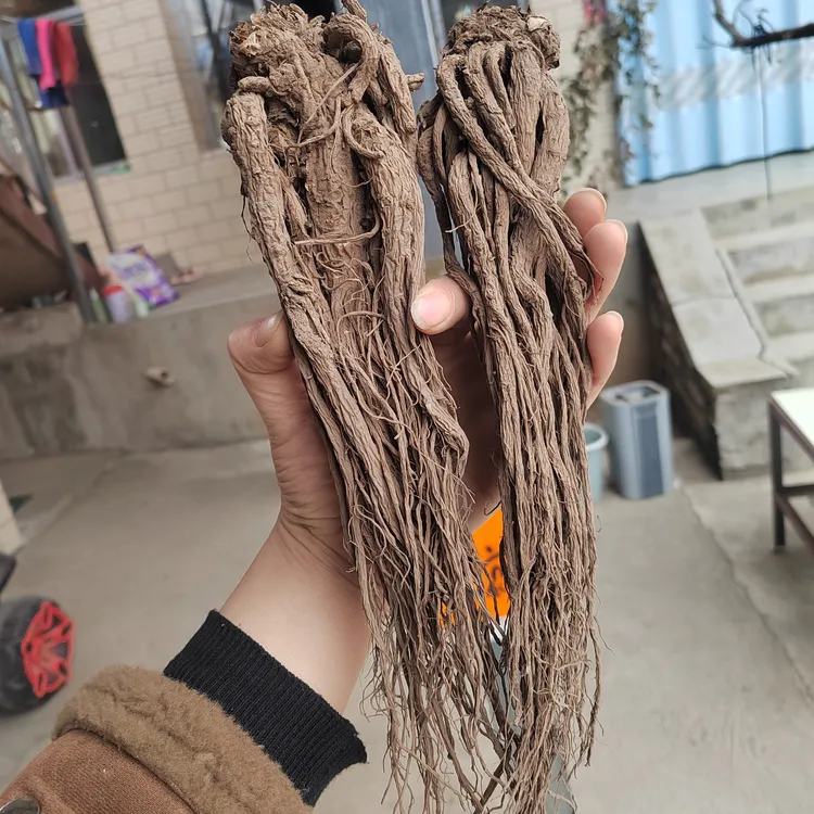 正宗甘肃岷县全当归无硫干货中药材可煲汤养生泡酒