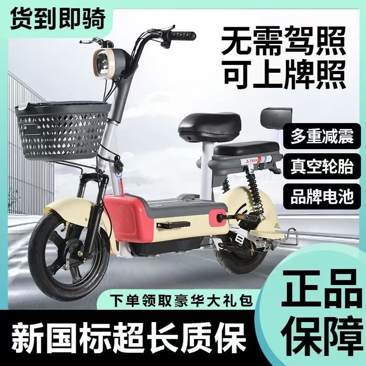 2025新款国标电动车小型车成人电动自行车长续航可上牌迷你电瓶车