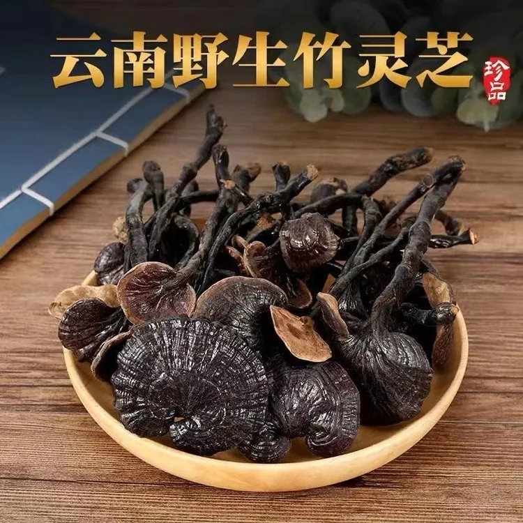 正宗云南野生竹灵芝纯天然干货竹灵芝野生竹灵芝深山采天然原生态
