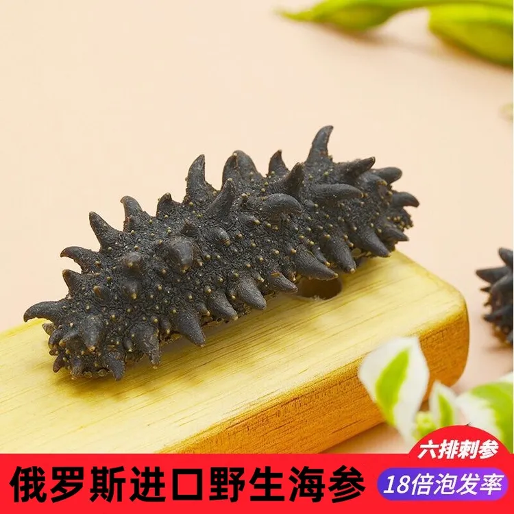 俄罗斯海参进口野生天然深海萨哈林岛纯淡干六排刺参二红足干500g