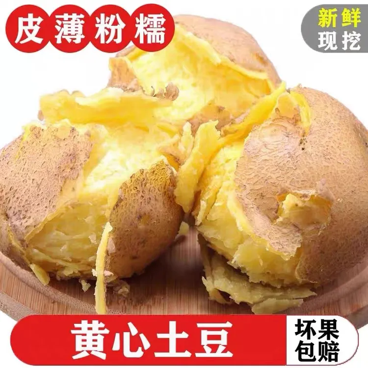 贵州威宁老品种黄皮黄心旱沙地土豆粉面沙糯炒菜炖汤必备