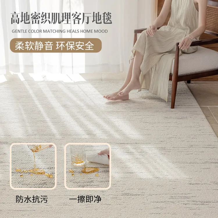 轻奢高级地毯客厅免洗可擦防水家用沙发卧室床边地毯现代简约加厚